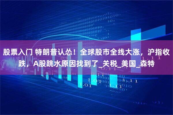 股票入门 特朗普认怂！全球股市全线大涨，沪指收跌，A股跳水原因找到了_关税_美国_森特