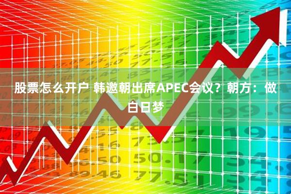 股票怎么开户 韩邀朝出席APEC会议？朝方：做白日梦